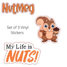 Load image into Gallery viewer, Set of (3) Nutmeg Vinyl Sticker Decals
