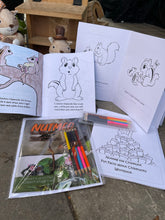 Load image into Gallery viewer, Colouring book, with activity book and pencil crayons bundle
