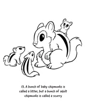 Load image into Gallery viewer, Nutmeg the Chipmunk Colouring Book with fun facts
