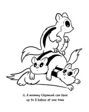 Load image into Gallery viewer, Nutmeg the Chipmunk Colouring Book with fun facts
