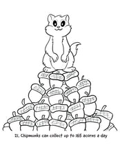 Load image into Gallery viewer, Nutmeg the Chipmunk Colouring Book with fun facts
